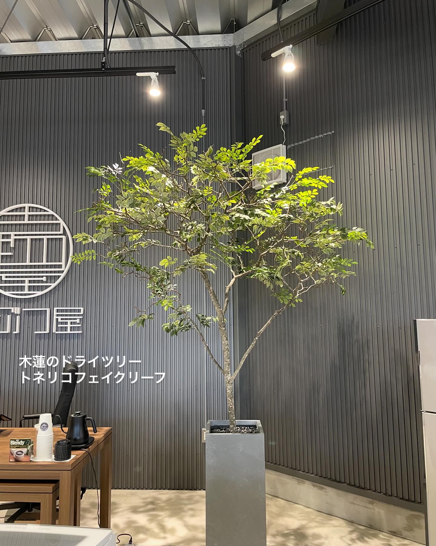 はコチラからどうぞ
↓↓↓↓
▼@greengreenhana▼
▼@greenmidori_flowerhana▼
#愛知県花屋
#名古屋花屋
#千種区
#観葉植物
#オフィスグリーン
#フェイクグリーン
#フェイクフラワー
#グリーンデザイン
#植物のある生活
#癒し
#ウォールグリーン
#店舗
#フェイクツリー
#植物
#装飾