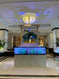 @greengreenhana▼
▼@greenmidori_flowerhana▼
#愛知県花屋
#名古屋花屋
#千種区
#観葉植物
#オフィスグリーン
#フェイクグリーン
#フェイクフラワー
#グリーンデザイン
#植物のある生活
#癒し
#ウォールグリーン
#店舗
#フェイクツリー
#植物
#装飾
#ホテル装飾
#流木アート
#名古屋マリオットアソシアホテル
#期間限定