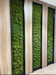 @greengreenhana
▼@greenmidori_flowerhana▼
#愛知県花屋
#名古屋花屋
#千種区
#観葉植物
#オフィスグリーン
#フェイクグリーン
#フェイクフラワー
#グリーンデザイン
#植物のある生活
#癒し
#ウォールグリーン
#店舗
#フェイクツリー
#植物
#装飾
#コケ
#フェイクモス
#壁面モス