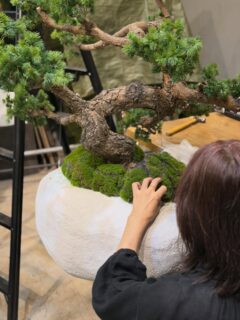 @greengreenhana
▼@greenmidori_flowerhana▼
#愛知県花屋
#名古屋花屋
#千種区
観葉植物
オフィスグリーン
フェイクグリーン
フェイクフラワー
グリーンデザイン
植物のある生活
癒し
ウォールグリーン
店舗
フェイクツリー
植物
装飾
コケ
フェイクモス
壁面モス
フェイクパイン
空中吊り
オブジェ