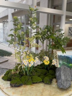 施設内フェイクグリーン導入
@greengreenhana▼
▼@greenmidori_flowerhana▼
#愛知県花屋
#名古屋花屋
#千種区
#観葉植物
#オフィスグリーン
フェイクグリーン
フェイクフラワー
グリーンデザイン
植物のある生活
癒し
ウォールグリーン
店舗
フェイクツリー
植物
装飾
栄
オフィス