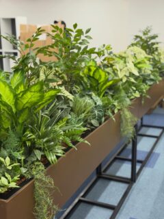 @greengreenhana▼
▼@greenmidori_flowerhana▼
#愛知県花屋
#名古屋花屋
#店舗内デザイン
#観葉植物
#オフィスグリーン
フェイクグリーン
フェイクフラワー
グリーンデザイン
植物のある生活
癒し
ウォールグリーン
店舗
フェイクツリー
植物
装飾
栄
オフィス